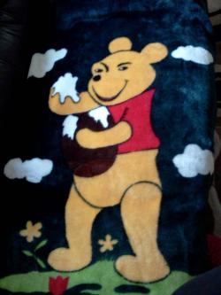 serpentenema:  tocinobebe:  my friend has this weird knockoff Winnie the Pooh blanket and it’s the most menacing thing i’ve ever seen  Thats not honey 