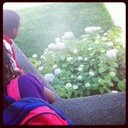 Admiring my aunt&rsquo;s flower bush. #family #thejr'z #instaphoto  (Taken with instagram)
