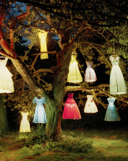 Dress Lamp Tree, 2002 ph. Tim Walker 