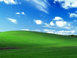 sevvey6:  fish-d:  cry-of-the-brave:   The photo at top is the most-viewed image in the world, the “Bliss” wallpaper that came with Windows XP.  The photo at bottom is what the same spot looks like today.  Earth is going downhill fast..  the second