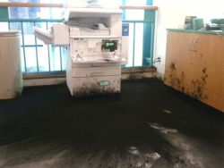 luckstergal:  automatonic-absinthe:  modestlybold:  justaddtommy:  i think we’re out of ink  looks like a printer was summoned from hell  FUCK THIS HAPPENED TO ME ONCE WHEN I WAS A KINDERGARTEN AID AND THE FUCKIGN THING BLEW UP ALL OVER ME AND THE ROOM