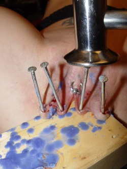 pussymodsgalore  BDSM pain games? Not as bad as it looks if the nails are through existing piercing holes, though there is a little bit of soreness or blood. On the other hand, a quick way to get some piercings! Don&rsquo;t waste them, when the nails