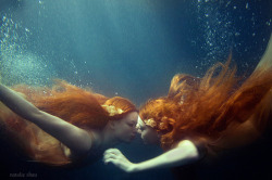 F-L-E-U-R-D-E-L-Y-S:  Mermaid’s Kiss  - Natalie Shau   