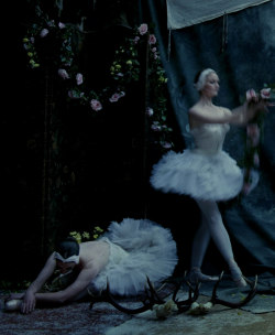  Cygnets of the Ballet West in the Stag Ballroom of the Mar Lodge Estate, in Braemar, Scotland  ph. Tim Walker 