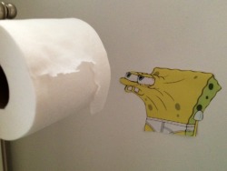 steady-now:  Someone keeps using up all the toilet paper and not refilling it.  So I decided that putting this picture there will make everyone remember to refill it without me bringing it up. 