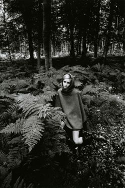 liquidnight:  Jeanloup Sieff Twiggy in the