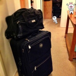 I hate packing! ✈T-minus 2days. I don&rsquo;t even want to go&hellip; #packed #luggage (Taken with Instagram)