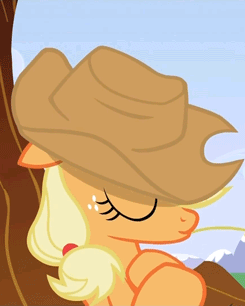 mapleleafthecanadian:  arborgreen:  bronycurious:  hexendoktor:  AJ’s hat appreciation station.  UNF  ((Hey. Mattoid. Look. Hat porn.))  As a guy who wears a hat every. single. day. This is relevant to my interests. And I want her hat… badly. 