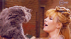 monicas:  Phoebe Buffay in: ‘Smelly Cat, The Video’. 