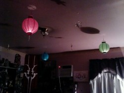 cklikestogame:  wahrsager:  just hung paper lanterns in my room. I think I might get more :3  Did you take down some snowflakes? It looks like you did.  Yup, had to make room for the lanterns. I might put them up only for the holidays, but I think the