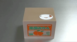 thefrogman:  Here is a box with a kitty inside that steals your coins. If you are saying to yourself, “OMG I NEED THIS!” then fear not… for my Google Fu is strong and I have found it on Amazon.  [video] 