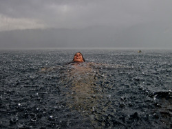 kruhn:  tamburina:  My sister in the south of Chile. We are sitting at home next to the fireplace in our southern lake house when it suddenly began to pour uncontrollably. Had to rush into the lake to take this snapshot! - Camila Massu/National Geographic