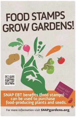 Gardens made from seeds purchased with food