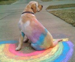 PaintBrush Dog!