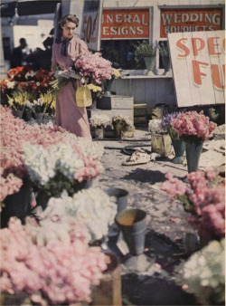lesfoudres:  For Vogue, June 1948 (by dovima_is_devine_II) à la recherche de la fleur perdue 