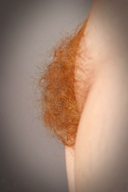 Gigglefuck:  Holdentumblr:  Red Hair, Also Called Ginger Hair Occurs Naturally