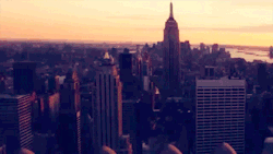 bl-ossomed:  New york is my dream oh god   Reblogged by tumblr.viewer