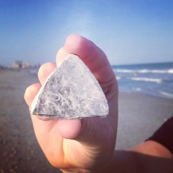 #shell #triangle #vacation #beach  (Taken with Instagram)