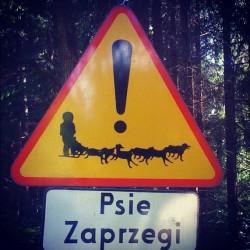 grandtourpoland:  Wakacje rozpoczęte. Podrozujcie bezpiecznie i zwracajcie uwagę na znaki. #Polska #wakacje (Taken with Instagram) 