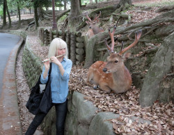 rubee:  nigga-chan:  i like how the deer in the back is like “Why the fuck aint she playin me no song?”    whatever bitch the flute is gay as fuck anyway 