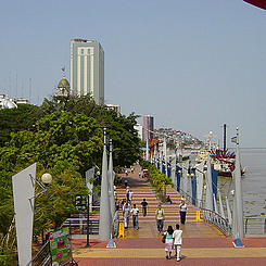 altatensione:  cities to visit: Guayaquil, Ecuador  Miss this!
