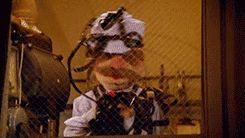  Favorite films » The Muppet Movie (1979), porn pictures