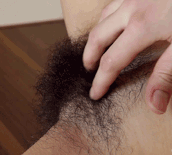 buckthenormal:  noshes-hairy-point-of-view:  as-n8ture-intended:  I find this sooo sexydivine.  http://noshes-big-plan.tumblr.com/  http://noshes-hairy-amateurs.tumblr.com/ http://noshes-hairy-point-of-view.tumblr.com/  What Are You Waiting For?  This