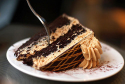  Chocolate Peanut Butter Cake  