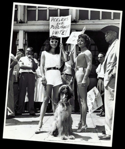 Novita (wearing sunglasses) marches the picket line with other members of the &lsquo;Exotic Dancers League&rsquo;.. The picket took place in 1959, in front of the offices of the ‘Los Angeles Examiner’ newspaper; to protest their new policy of disallowing