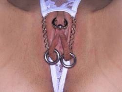 pussymodsgalore  Pierced pussy with HCH and inner labia rings, displayed through an interesting garment. 