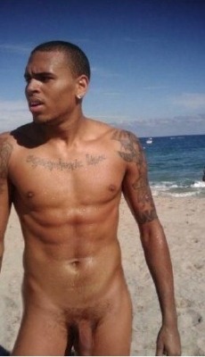 nakedmalecelebs1:  Chris Brown Naked  