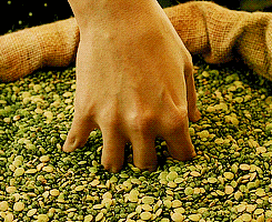  She cultivates a taste for small pleasures: dipping her hand into sacks of grain, cracking crème brûlée with a teaspoon, and skipping stones at St. Martin’s Canal. Le fabuleux destin d’Amelie Poulain (2001) dir. Jean-Pierre Jeunet 