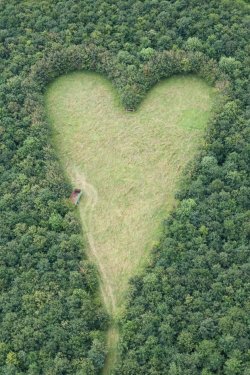 milktree:  A heart-shaped meadow, created by a farmer as a tribute to his late wife, can be seen from the air near Wickwar, South Gloucestershire. The point of the heart points towards Wotton Hill, where his wife was born. 