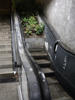 emachtblog:  Death to the escalators
