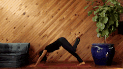 standardmoves:  Adho Mukha Svanasana  Downward Facing Dog Variation with Split Kelly Ann Charles Come to hands and knees. Curl the toes under and press firmly and equally through both palms, as you straighten the legs to press back into down dog. Extend