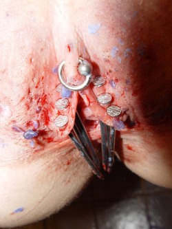 pussymodsgalore  BDSM pain games. Nails through the pussy labia. Often in these scenes existing piercing holes are used, but there is a certain amount of blood about here, so perhaps the labia were stretched over a board and the nails hammered through.