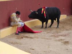 antinoo5: mushaka:  santosha65:   This incredible photo marks the end of Matador Torero Alvaro Munera’s career. He collapsed in remorse mid-fight when he realized he was having to prompt this otherwise gentle beast to fight. He went on to become an