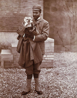 fripperiesandfobs:  themauveroom:  edwardthecaresser:  vintagepug:  100TH POST Duke of York (later George V) who appears to have dressed up his pug as Queen Victoria   Granny would most certainly not be amused.  He looks so pleased with himself. 