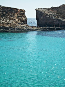 travelingcolors:  The clear blue waters of the Blue Lagoon in Comino | Malta  Photo taken by me (travelingcolors)  