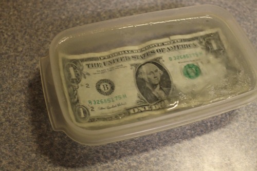 omgtsn:  imjustonekid:  clintbartonsbumpinbooty:  my brother froze a dollar in a block of ice he’s very proud of himself  thats what i call cold hard cash  did you just 