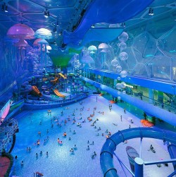 cklikestogame:  emmyc:  pikman:  whitepool:  chrissy-marie:  tasteofbile:  smiling-to-music:  i’ve been (: it was really fun bonkerbat:  Happy Magic Water Cube, China : THIS IS A REAL WATER PARK.   I WANNA GO.  oooh pretty  OMG THIS IS THE WATER CUBE???