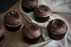 gastrogirl:  vanilla bean cupcakes with cocoa buttercream frosting. 