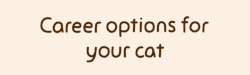 laughingsquid:  Career Options For Your Cat
