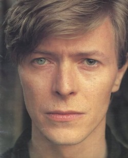 Fmlmyurlwastaken:  Perfection.  Who Would’ve Thought That The Thin White Duke’s