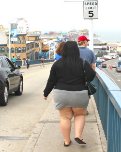 stuffingkit:  Dont mind me, taking up the whole walkway, fatting up the boardwalk.  