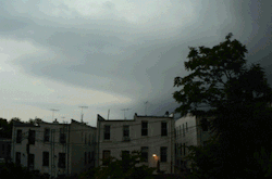 cuteys:  framesandflames:  It got a little stormy in NYC today. I set up this time lapse at my window in park slope in anticipation of the storms. I left to get some food and I came back to catch the onset. I snapped a whole lot more photos when I was