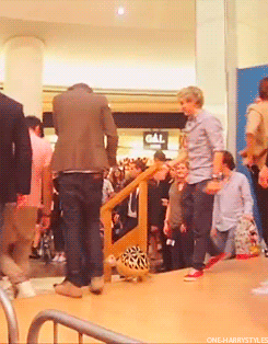 fahoohz:  whatmakesyouawinchester:  loveabitofeveryone:  bowties-and-greeneyes:   But you know what my absolute favorite thing about this is? They indulge him. Both Niall and Louis wait till he’s got the damn balloon animal down the stairs.  I always