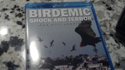saneintolerant:  So I got my blu-ray of Birdemic: Shock and Terror and Did James Nguyen seriously trademark the phrase “The Master Of The Romantic Thriller”  i love this movie so much