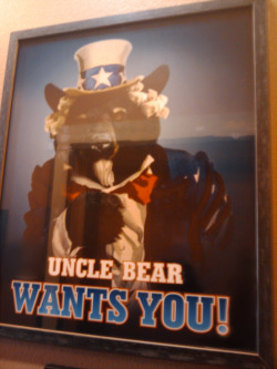 They opened this new diner around where I live and I was already biased toward it because it&rsquo;s bear themed. They have bear paintings and pictures and puns all over the place (it&rsquo;s like Roger&rsquo;s nightmare). Then I saw this, the greatest