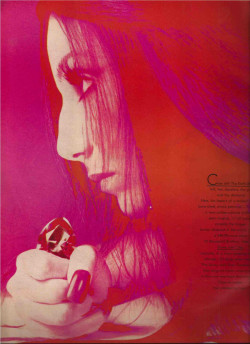 retrogirly:   Cher 1972 by Richard Avedon  